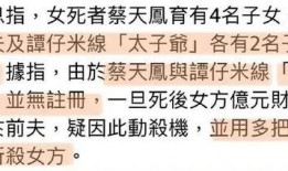 蔡天凤案件爆料最新消息,揭秘背后惊人真相！”